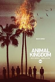 Animal Kingdom (2016) watch-Animal Kingdom (2016)