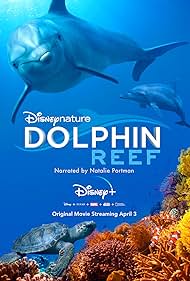 watch-Dolphin Reef (2020)