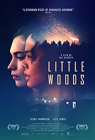 Little Woods (2019) watch-Little Woods (2019)