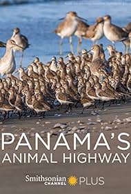 watch-Panama's Animal Highway (2017)