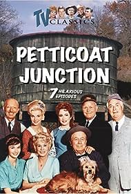 Petticoat Junction (1963) watch-Petticoat Junction (1963)