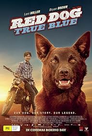 Red Dog: True Blue (2016) watch-Red Dog: True Blue (2016)