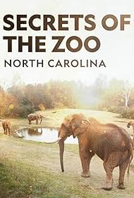 watch-Secrets of the Zoo: North Carolina (2020)