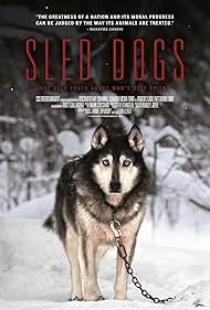 watch-Sled Dogs (2017)
