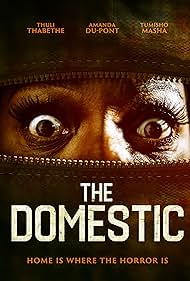 watch-The Domestic (2022)