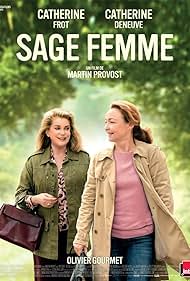 The Midwife (2017) watch-The Midwife (2017)