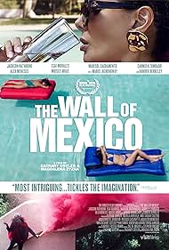watch-The Wall of Mexico (2020)